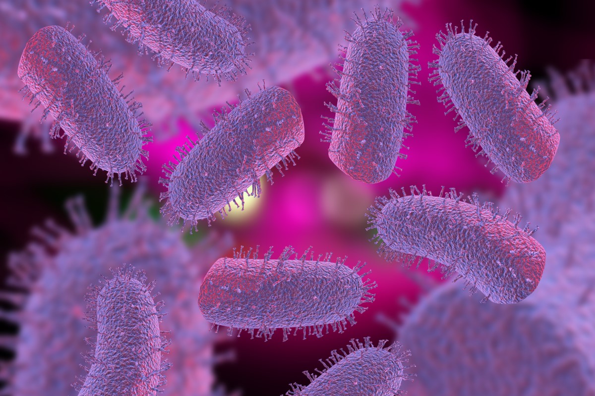 Lyssavirus - Lyssa viirus - marutaudiviiruste 3D-kujutis