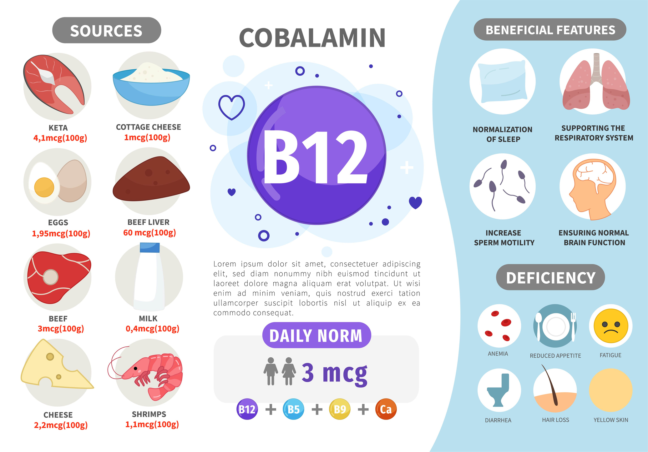 B12-vitamiini allikad