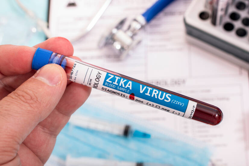 Zika-viirus: mis see on, kuidas see levib ja millised on sümptomid?