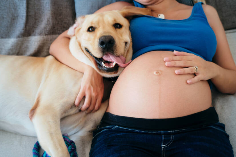 Rase naine ja lemmikloomad. Fotoallikas: Getty Images