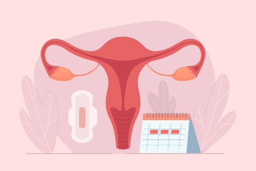 Kuidas toimib menstruaaltsükkel? Tsükli pikkus ja faasid + sümptomid